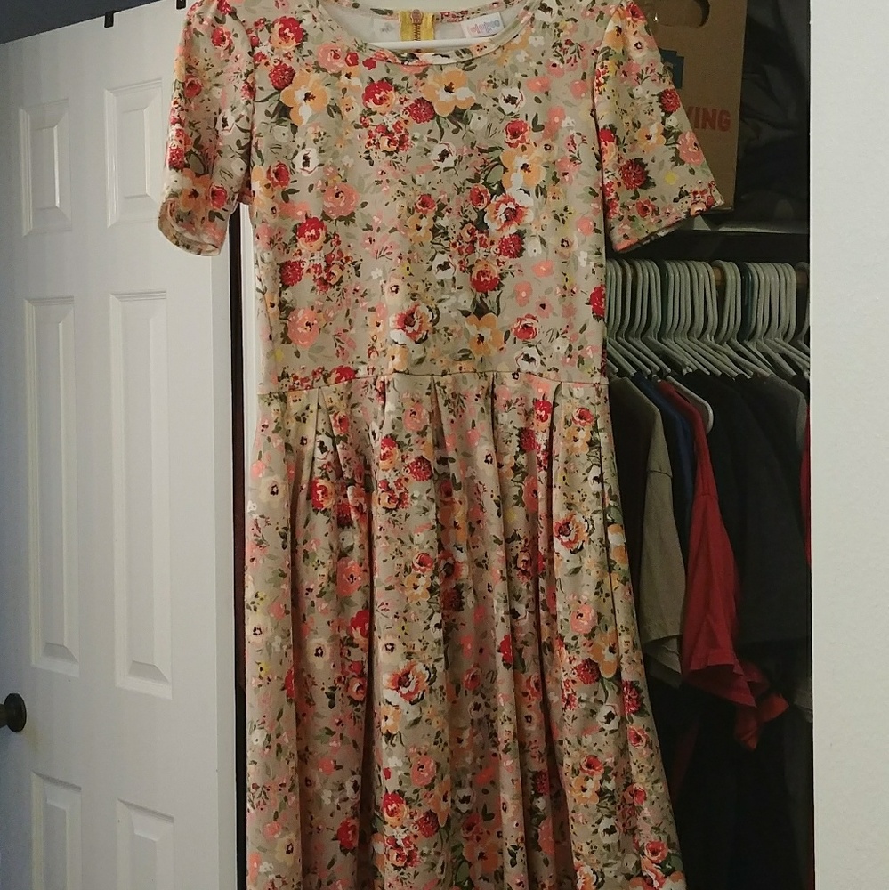 Very Rare Lularoe Amelia