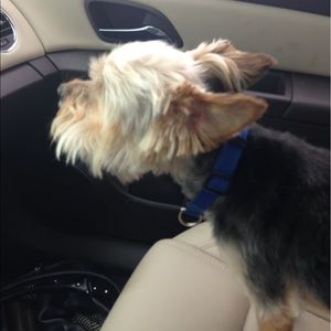 Meet your Posher, Latasha