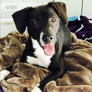 Meet your Posher, Lisette