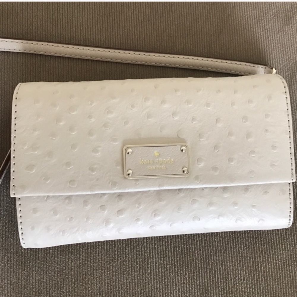 Kate Spade clutch or crossbody purse