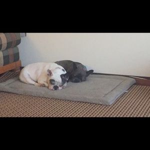 Meet your Posher, Jade