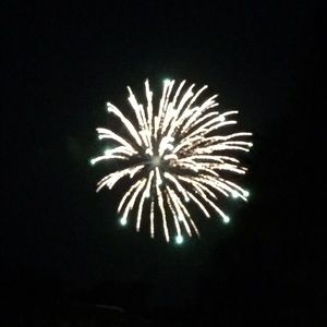 Meet your Posher, Lilly