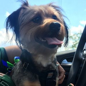 Meet your Posher, Krista