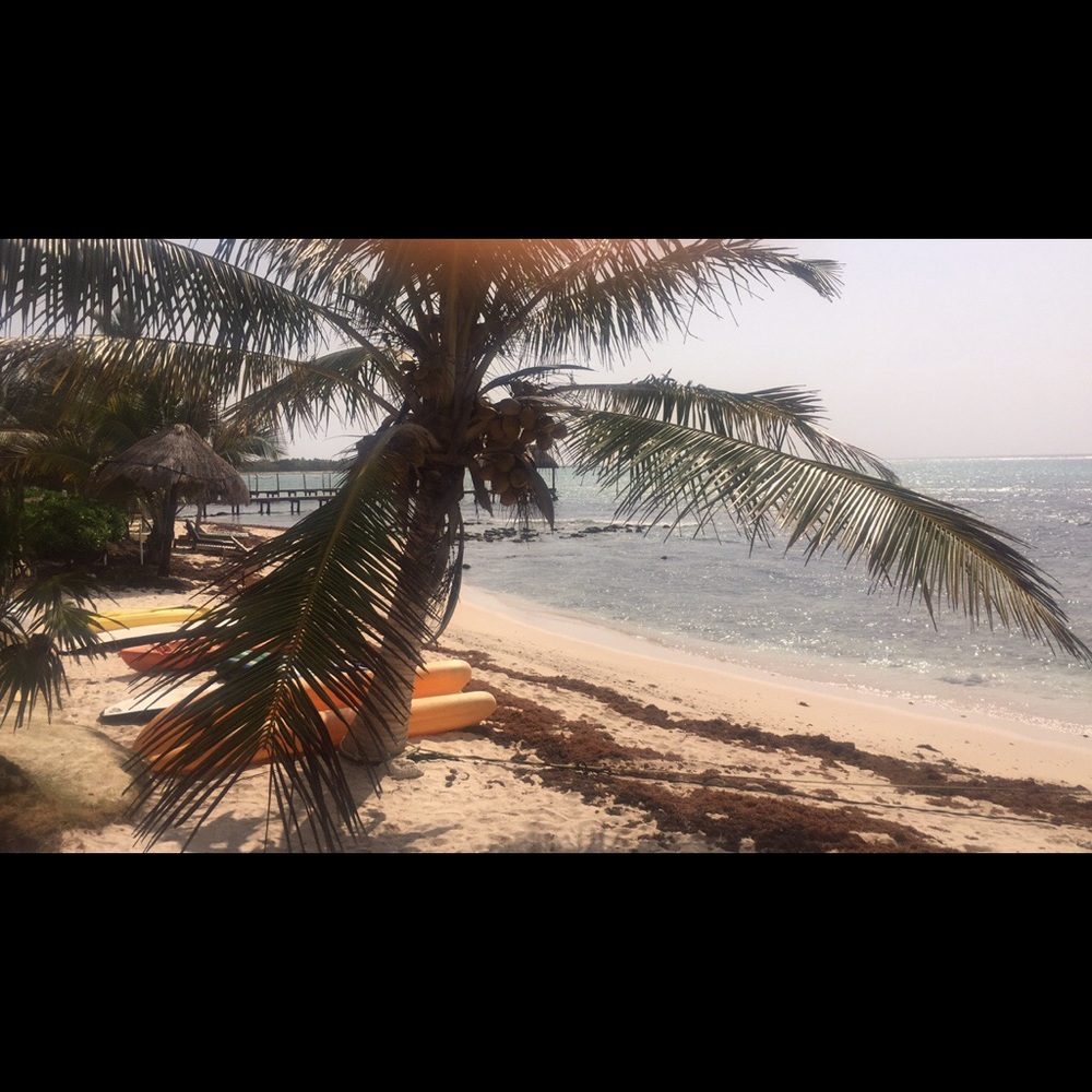 Meet your Posher, Dana