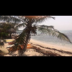 Meet your Posher, Dana