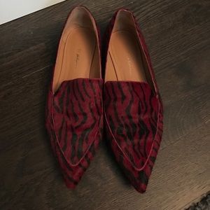 Phillip lim zebra flats