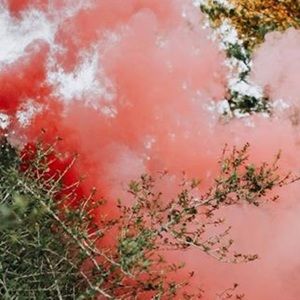 Meet your Posher, Mallory