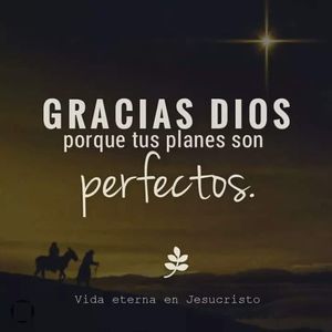 Meet your Posher, Lizbeth