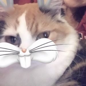 Meet your Posher, Brandyn