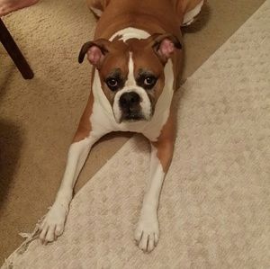 Meet your Posher, Wendy