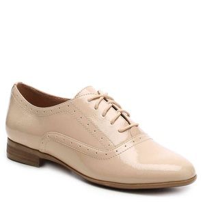 NIB Steve Madden "Tipie" Oxford. Menswear inspired