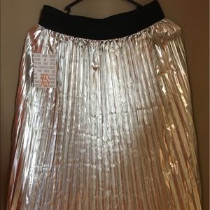 NWT LulaRoe Elegant Silver Jill Skirt XS