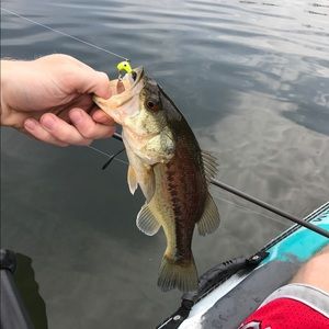 Meet your Posher, Aaron