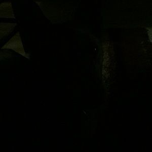 Meet your Posher, Lynn