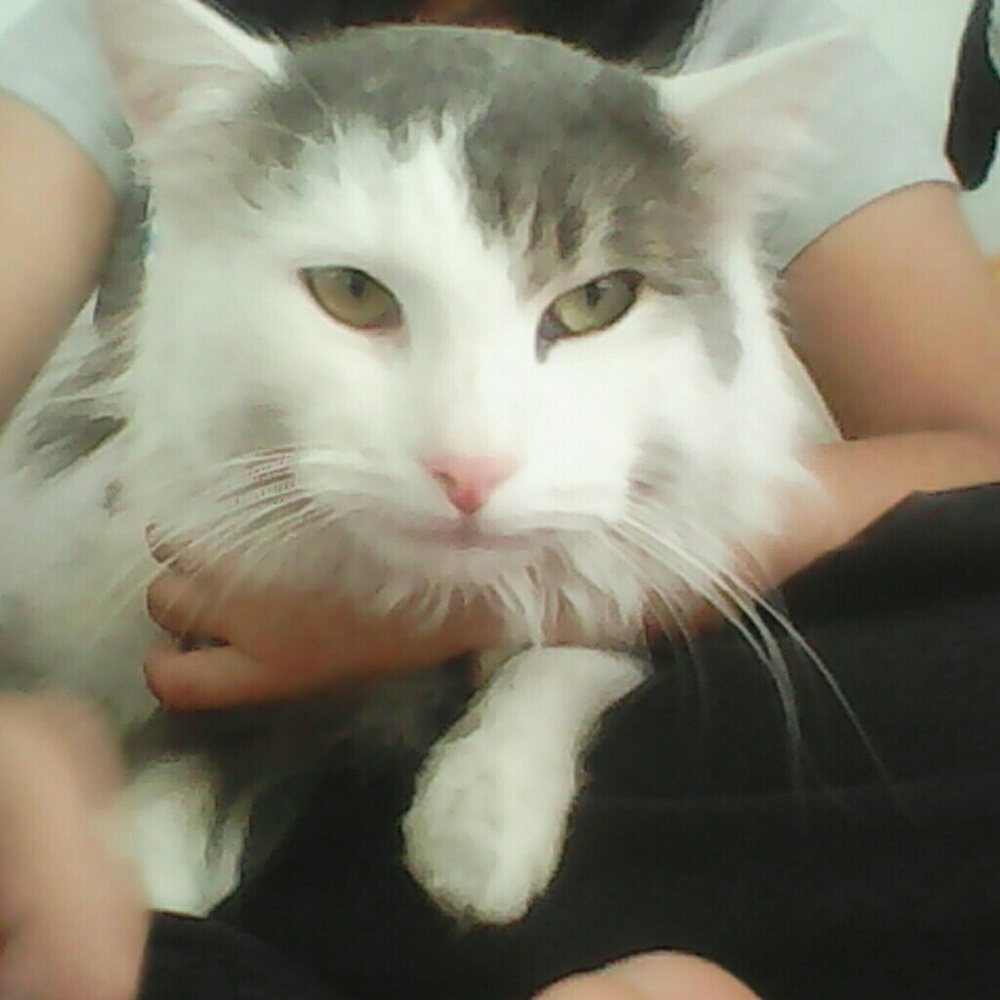 Meet your Posher, Mel