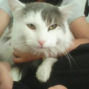 Meet your Posher, Mel