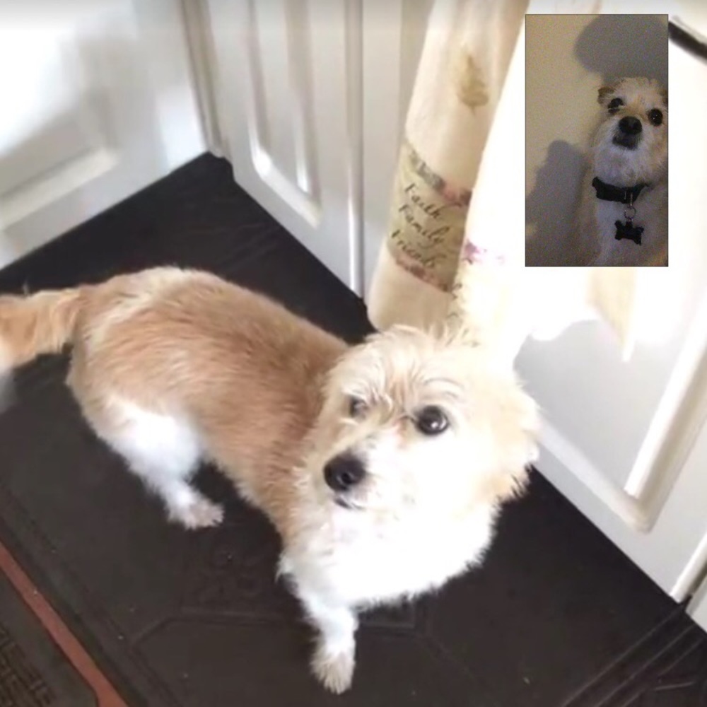 Meet your Posher, Gabby