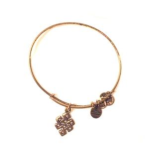 Alex and Ani- Path of Life bracelet / bangle
