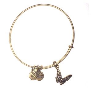Alex and Ani butterfly charm bracelet - bangle