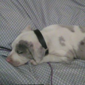 Meet your Posher, Jay