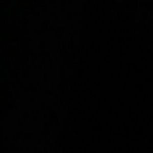 Meet your Posher, Mildred