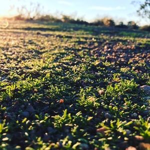 Meet your Posher, Jackson