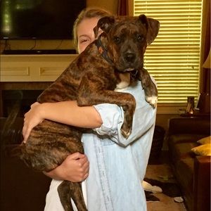 Meet your Posher, Alex