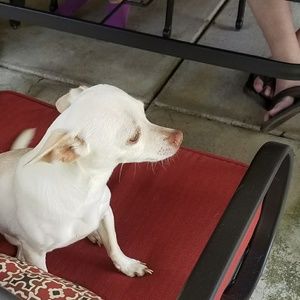 Meet your Posher, Lori