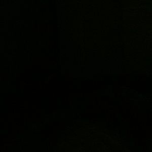 Meet your Posher, Natasha