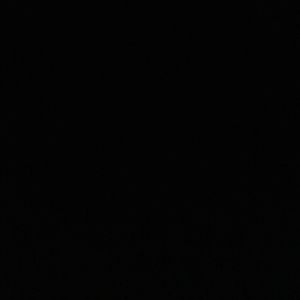 Meet your Posher, Delia