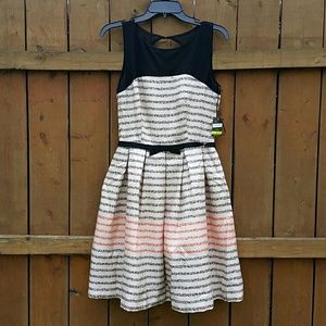 Taylor Dress fit and flare dress