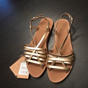 Free waters Gold Sandals