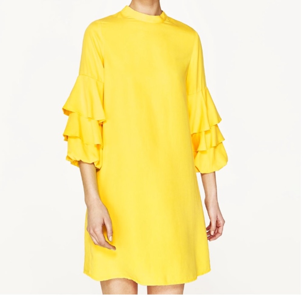 Frill Sleeve ZARA Dress