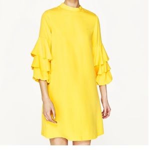 Frill Sleeve ZARA Dress