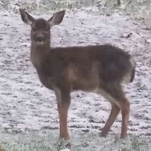 Meet your Posher, Katie