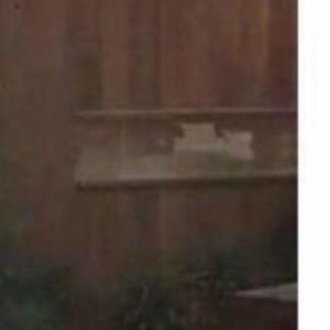 Meet your Posher, Bob