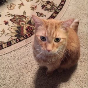 Meet your Posher, Angie