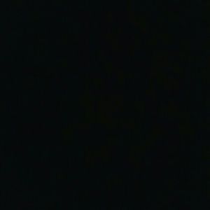 Meet your Posher, Bob