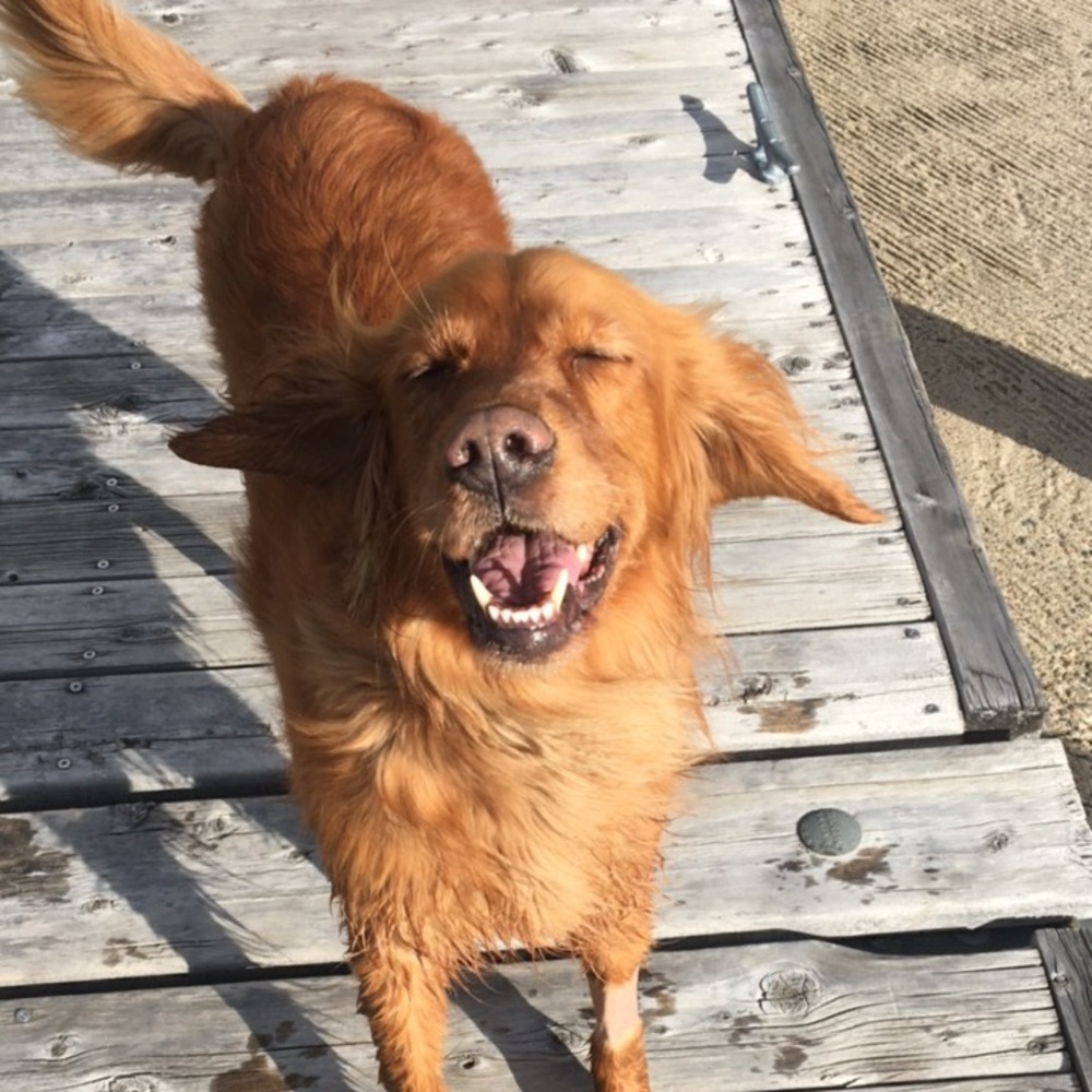 Meet your Posher, Kelsea