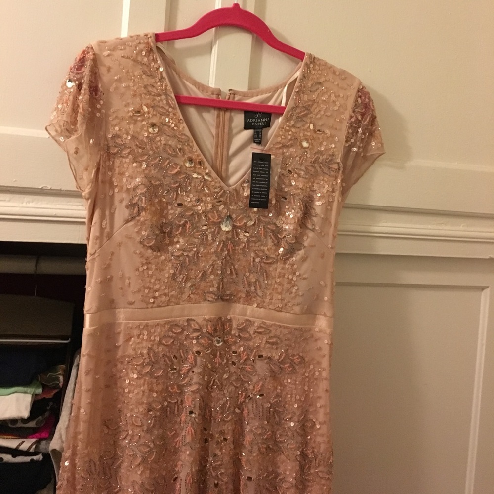 Adrianna Papell full length formal gown.