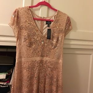 Adrianna Papell full length formal gown.