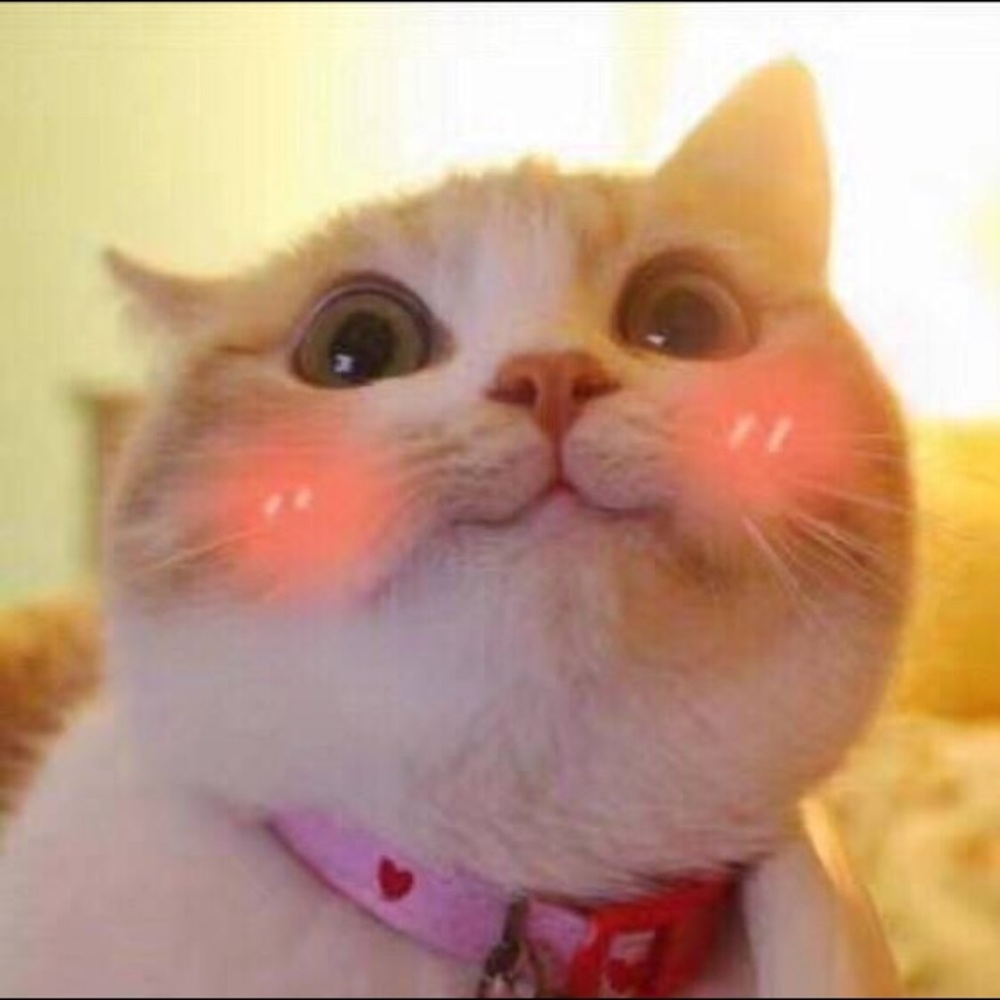 Meet your Posher, Xiaowei