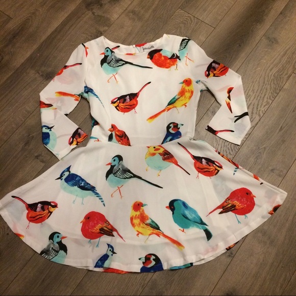 Jennabelle Dresses & Skirts - Bird Print Skater Dress!