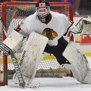 Meet your Posher, Noah