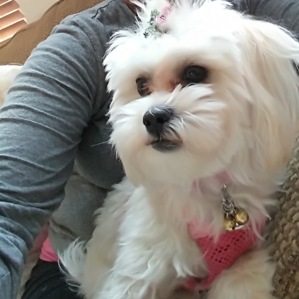 Meet your Posher, Jorie