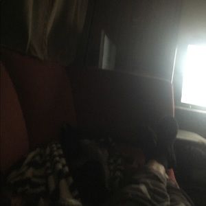 Meet your Posher, Laura