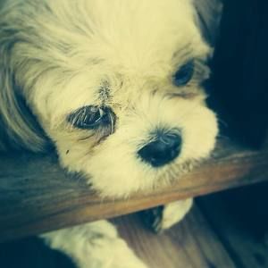 Meet your Posher, Jack