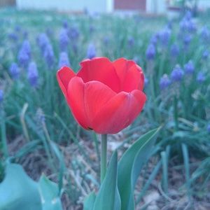 Meet your Posher, Ellie