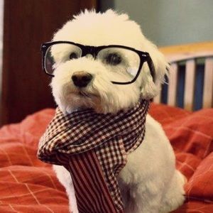 Meet your Posher, Patricia