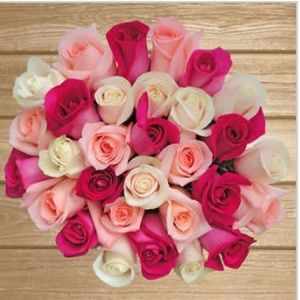 Meet your Posher, Charmie